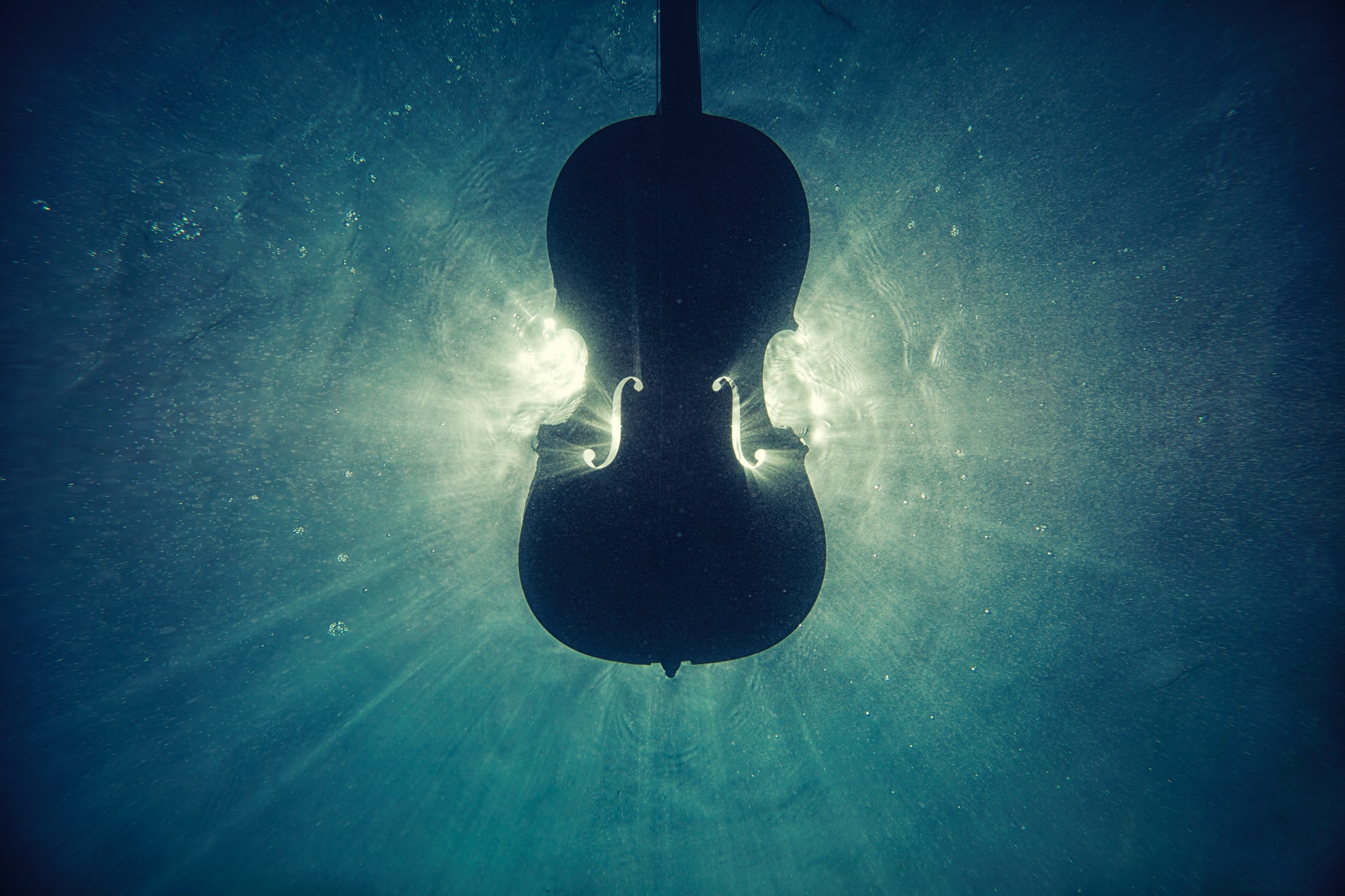 violin in the water