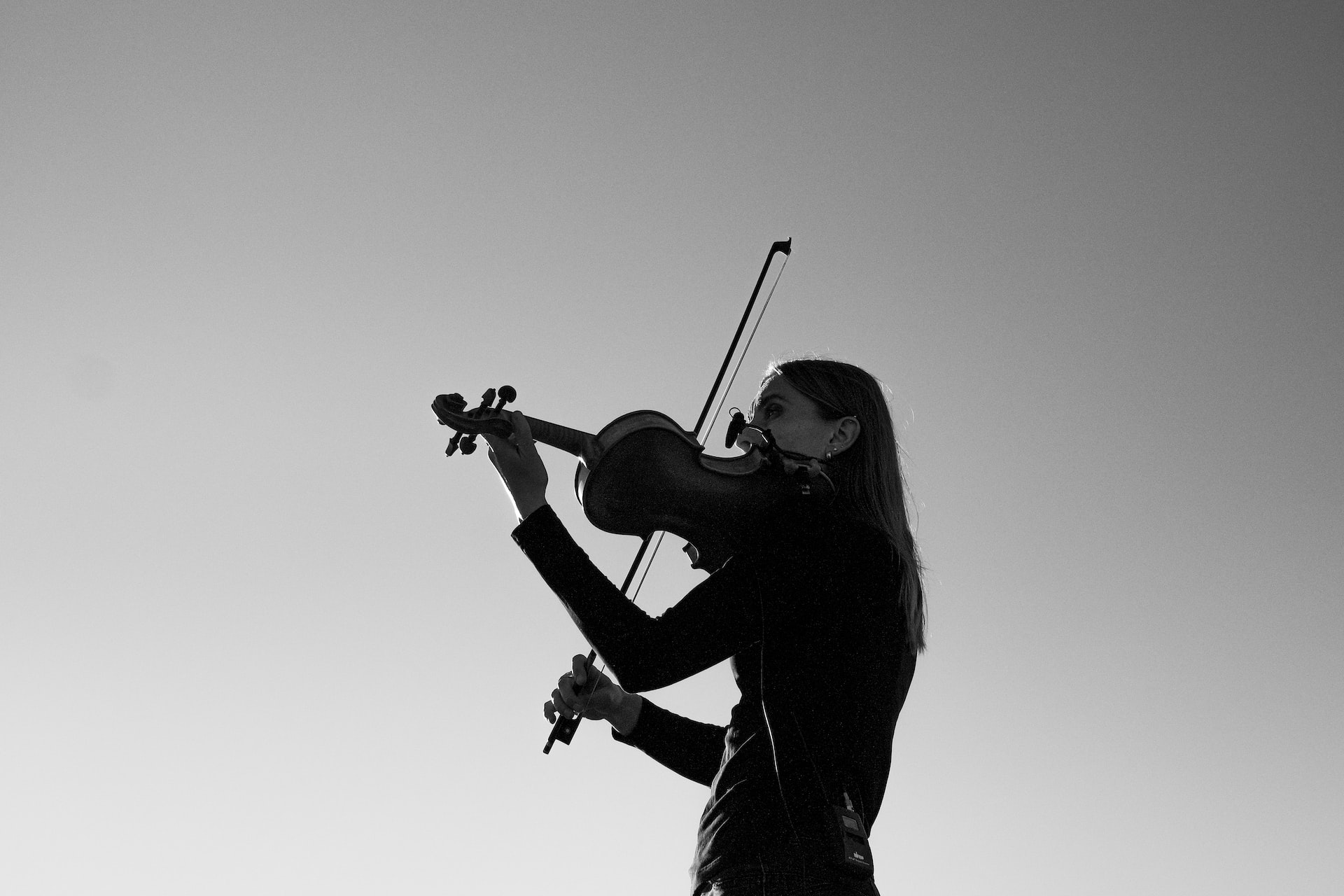 Violin