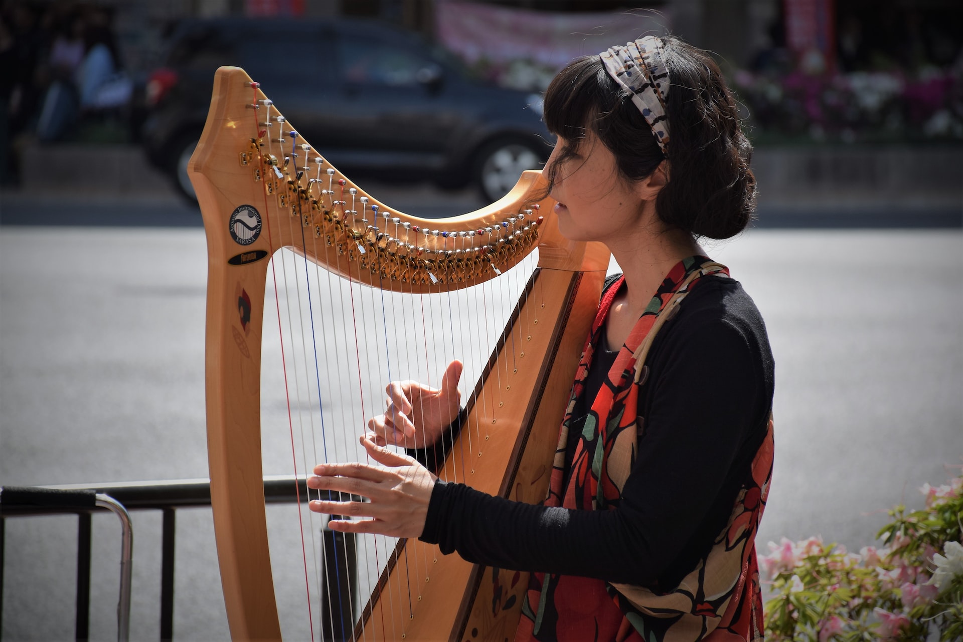 woman playing the harp